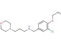 N-(3-chloro-4-ethoxybenzyl)-3-morpholin-4-ylpropan-1-amine dihydrochloride