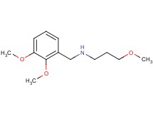 N-(2,3-dimethoxybenzyl)-3-methoxy-1-propanamine hydrochloride