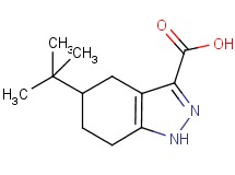 5-tert-butyl-4,5,6,7-tetrahydro-1H-indazole-3-carboxylic acid