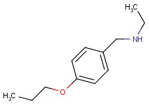 N-(4-propoxybenzyl)ethanamine
