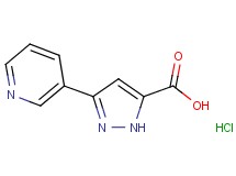 3-(3-pyridinyl)-1H-pyrazole-5-carboxylic acid hydrochloride 3-(3-pyridinyl)-1H-pyrazole-5-carboxylic acid hydrochloride