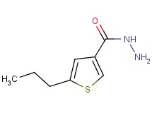 5-propylthiophene-3-carbohydrazide 5-propylthiophene-3-carbohydrazide