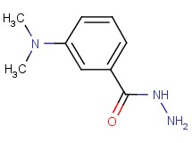3-(dimethylamino)benzohydrazide 3-(dimethylamino)benzohydrazide