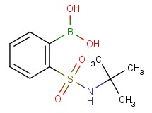 {2-[(tert-butylamino)sulfonyl]phenyl}boronic acid
