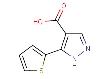 5-(2-thienyl)-1H-pyrazole-4-carboxylic acid 5-(2-thienyl)-1H-pyrazole-4-carboxylic acid