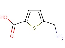 5-(aminomethyl)thiophene-2-carboxylic acid 5-(aminomethyl)thiophene-2-carboxylic acid