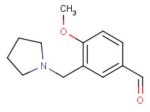 4-methoxy-3-(pyrrolidin-1-ylmethyl)benzaldehyde 4-methoxy-3-(pyrrolidin-1-ylmethyl)benzaldehyde