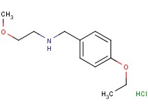 N-(4-ethoxybenzyl)-2-methoxyethanamine hydrochloride N-(4-ethoxybenzyl)-2-methoxyethanamine hydrochloride