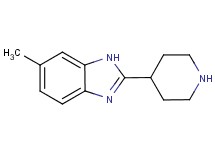 6-methyl-2-piperidin-4-yl-1H-benzimidazole 6-methyl-2-piperidin-4-yl-1H-benzimidazole