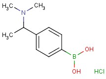 {4-[1-(dimethylamino)ethyl]phenyl}boronic acid hydrochloride