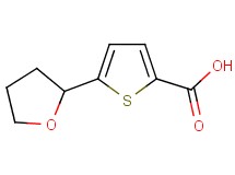 5-(tetrahydrofuran-2-yl)thiophene-2-carboxylic acid 5-(tetrahydrofuran-2-yl)thiophene-2-carboxylic acid