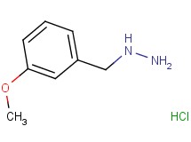 (3-methoxybenzyl)hydrazine hydrochloride (3-methoxybenzyl)hydrazine hydrochloride