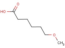 6-methoxyhexanoic acid 6-methoxyhexanoic acid