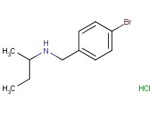 N-(4-bromobenzyl)-2-butanamine hydrochloride N-(4-bromobenzyl)-2-butanamine hydrochloride