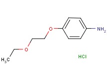 4-(2-ethoxyethoxy)aniline hydrochloride 4-(2-ethoxyethoxy)aniline hydrochloride