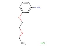 [3-(2-ethoxyethoxy)phenyl]amine hydrochloride