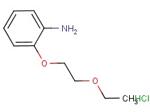 [2-(2-ethoxyethoxy)phenyl]amine hydrochloride