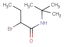2-bromo-N-(tert-butyl)butanamide 2-bromo-N-(tert-butyl)butanamide