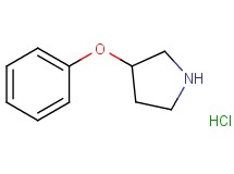 3-phenoxypyrrolidine hydrochloride 3-phenoxypyrrolidine hydrochloride