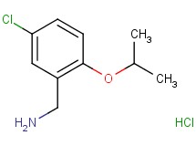 (5-chloro-2-isopropoxybenzyl)amine hydrochloride (5-chloro-2-isopropoxybenzyl)amine hydrochloride