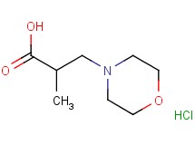 2-methyl-3-(4-morpholinyl)propanoic acid hydrochloride 2-methyl-3-(4-morpholinyl)propanoic acid hydrochloride