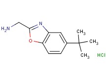 [(5-tert-butyl-1,3-benzoxazol-2-yl)methyl]amine hydrochloride