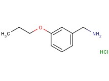 (3-propoxybenzyl)amine hydrochloride (3-propoxybenzyl)amine hydrochloride