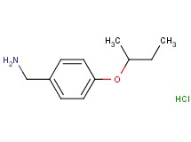 (4-sec-butoxybenzyl)amine hydrochloride (4-sec-butoxybenzyl)amine hydrochloride