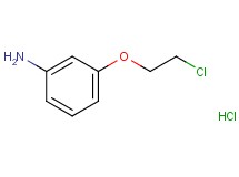 [3-(2-chloroethoxy)phenyl]amine hydrochloride