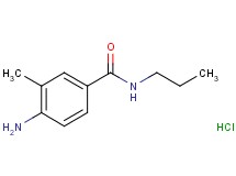 4-amino-3-methyl-N-propylbenzamide hydrochloride 4-amino-3-methyl-N-propylbenzamide hydrochloride