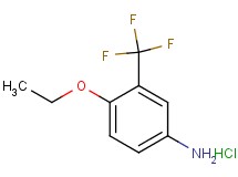 [4-ethoxy-3-(trifluoromethyl)phenyl]amine hydrochloride