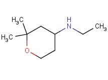 (2,2-dimethyltetrahydro-2H-pyran-4-yl)ethylamine (2,2-dimethyltetrahydro-2H-pyran-4-yl)ethylamine