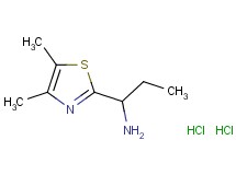 [1-(4,5-dimethyl-1,3-thiazol-2-yl)propyl]amine dihydrochloride