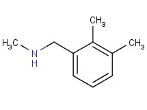 (2,3-dimethylbenzyl)methylamine (2,3-dimethylbenzyl)methylamine