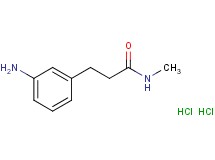 3-(3-aminophenyl)-N-methylpropanamide dihydrochloride