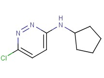 6-chloro-N-cyclopentyl-3-pyridazinamine 6-chloro-N-cyclopentyl-3-pyridazinamine
