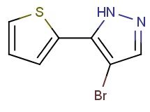 4-bromo-5-(2-thienyl)-1H-pyrazole 4-bromo-5-(2-thienyl)-1H-pyrazole