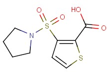 3-(1-pyrrolidinylsulfonyl)-2-thiophenecarboxylic acid 3-(1-pyrrolidinylsulfonyl)-2-thiophenecarboxylic acid