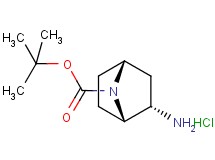 tert-butyl rac-(1S,2S,4R)-2-amino-7-azabicyclo[2.2.1]heptane-7-carboxylate hydrochloride
