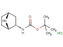 tert-butyl rac-(1S,2S,4R)-7-azabicyclo[2.2.1]hept-2-ylcarbamate hydrochloride