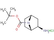 tert-butyl rac-(1S,2R,4R)-2-amino-7-azabicyclo[2.2.1]heptane-7-carboxylate hydrochloride