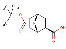 rac-(1S,2R,4R)-7-(tert-butoxycarbonyl)-7-azabicyclo[2.2.1]heptane-2-carboxylic acid