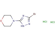 4-(3-bromo-1H-1,2,4-triazol-5-yl)morpholine dihydrochloride 4-(3-bromo-1H-1,2,4-triazol-5-yl)morpholine dihydrochloride
