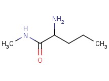 N~1~-methylnorvalinamide N~1~-methylnorvalinamide