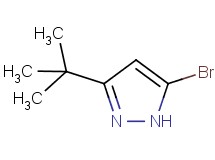 5-bromo-3-tert-butyl-1H-pyrazole