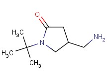 4-(aminomethyl)-1-tert-butyl-2-pyrrolidinone 4-(aminomethyl)-1-tert-butyl-2-pyrrolidinone