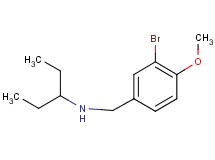 (3-bromo-4-methoxybenzyl)(1-ethylpropyl)amine (3-bromo-4-methoxybenzyl)(1-ethylpropyl)amine