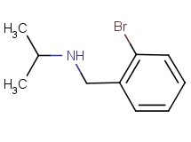 (2-bromobenzyl)isopropylamine (2-bromobenzyl)isopropylamine