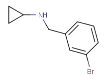 (3-bromobenzyl)cyclopropylamine (3-bromobenzyl)cyclopropylamine