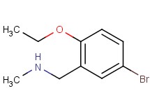 (5-bromo-2-ethoxybenzyl)methylamine (5-bromo-2-ethoxybenzyl)methylamine